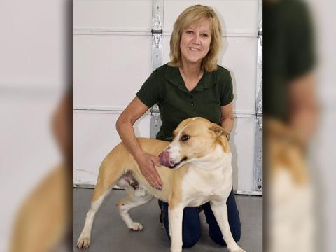  This male Bulldog and Terrier mix, who volunteers have named Oscar, was picked up on Jade Lane in Mineral Bluff February 18. This friendly guy has a blonde and white coat. View him using intake number 054-22. He is shown with animal control Administrative Support Donna Turek.