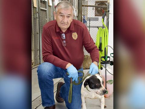This male mix was picked up in McCaysville Thursday, March 17. He has a white coat with black spots. View this cutie using intake number 078-22. He is shown with animal control Interim Manager J.R. Cornett.