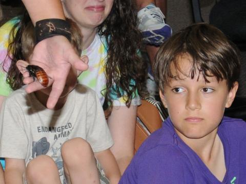 That’s a big cockroach. This Madagascar Hissing Cockroach got plenty of attention during Creepy Crawlers at the Fannin County Public Library.