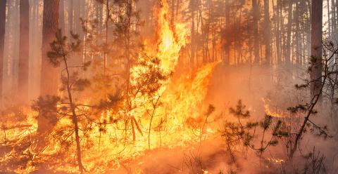 An example of an out of control fire.
