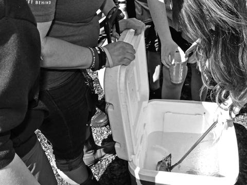 Students anxiously awaited their turn to have a trout placed in their cup so they may release it into the stream.