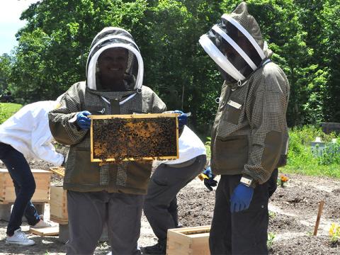Lisa Thompson shows off her honeybees during the Beekeeping Boot Camp for Veterans. Next to her is owner of Doc’s Healing Hives, Tim Doherty.