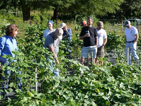 Kathy Beck, vice chair of Ag Education for Feed Fannin, led a tour of the Feed Fannin garden earlier this year for members of the FCYFA. The garden has provided 1,807 pounds of fresh produce for the Fannin County Family Connection Food Pantry this year.
