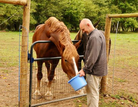 Athena, a Belgium mare, takes advantage of Dr. Kyle Raque’s food bribe, which was used to snap this photo.