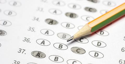 State 2024 College and Career Ready Performance Index (CCRPI) scores for the Fannin County School System show increases from the previous year.