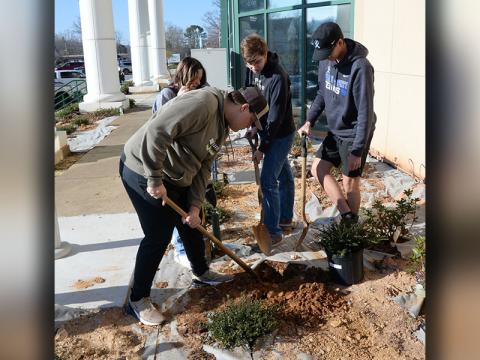 Logan Wright, Alyssa Marshall, James Burrell and Austin Prieto are careful as they improve the landscaping around the Fannin County Courthouse in Blue Ridge.