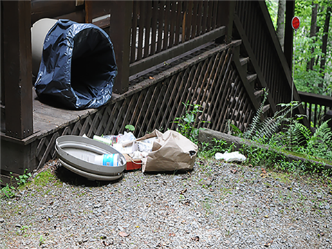 On this porch, bears have knocked over and raided a non bear-resistant trash can. 