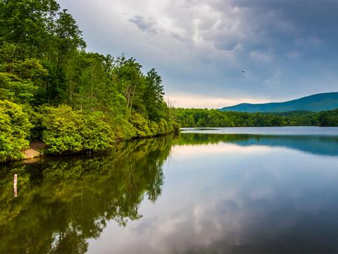 A 13-year-old boy from Fulton County, Georgia, lost his life in what is being investigated as a drowning in Blue Ridge Lake Saturday, June 21.