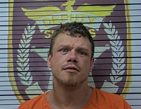 Harley Thomas Golden is currently serving 60 days in the Polk County Jail and will be extradited once he has completed his sentence, Polk County Sheriff Steve Ross said in an email Friday.