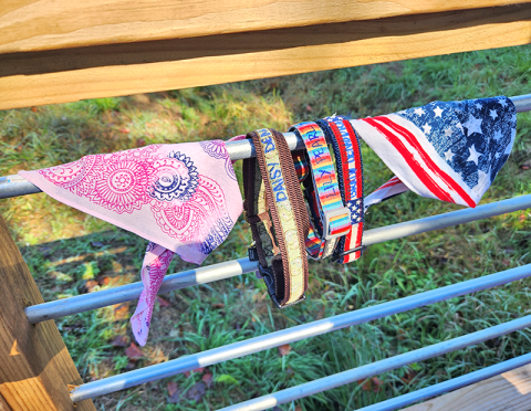 The Rainbow Bridge is part of pet owner culture, a mythical place where pets cross over and wait for their owners to arrive in perfect health and happiness.