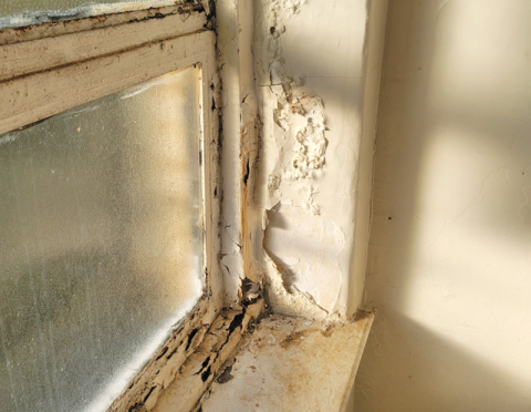 This is the type of damage in the Polk County Courthouse to be repaired.
