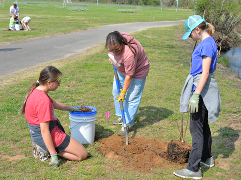 Students from Blue Ridge Elementary School planted trees at the Fannin County Recreation Park to help firefly populations. Pictured is Emily Owenby of Noontootla Creek Farms (center) digging a hole for the tree while Ellianna Urano (left) and Hope Ingle (right) wait to put the tree in the ground and cover it up.