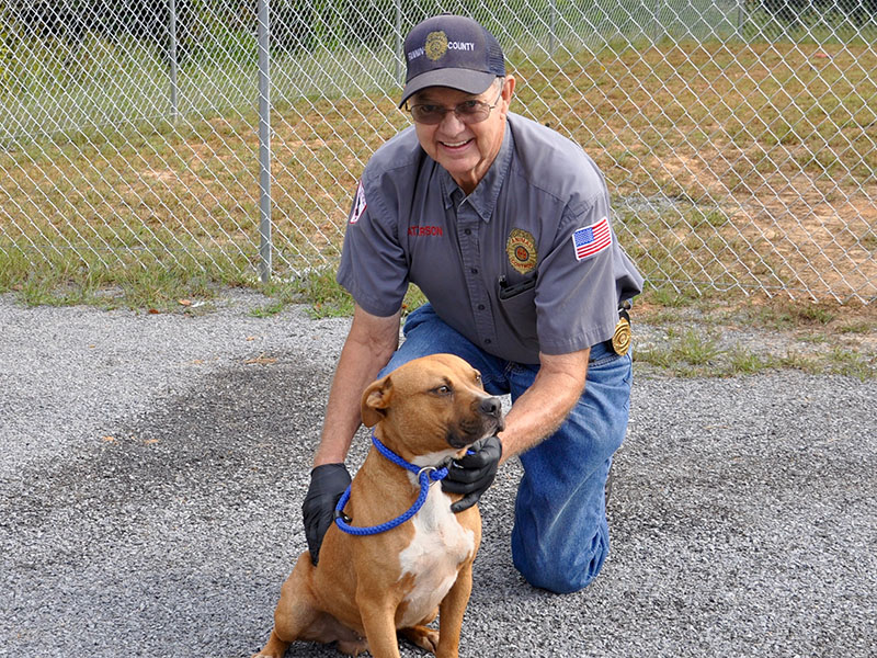 Animal Control officer Pat Patterson smiles while showing off this male Boxer mix who was dropped off September 17. He will remain at Animal Control until reclaimed or adopted. This handsome boy has a light brown coat with a white chest and paws. View him under Animal Control number 275-19.