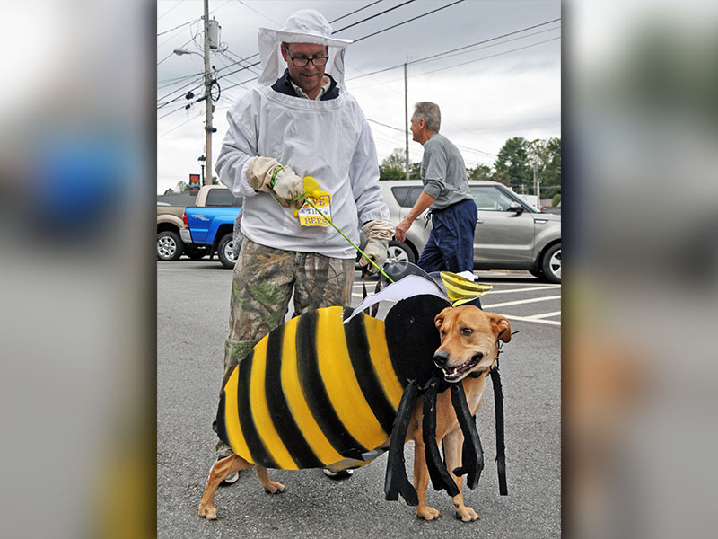 Pet owner and beekeeper, Cooper Clark, walks Rocko the bee through downtown Blue Ridge during Paws in the Park Saturday, October 19.