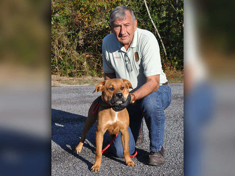 Animal Control Officer J.R. Cornett poses with this male Boxer mix. He was dropped off October 8 and is staying at Fannin County Animal Control until reclaimed or adopted. He is very handsome with a rich golden coat, a white accent on his chest and beautiful brown eyes. View this sweet fellow under Animal Control number 305-19.