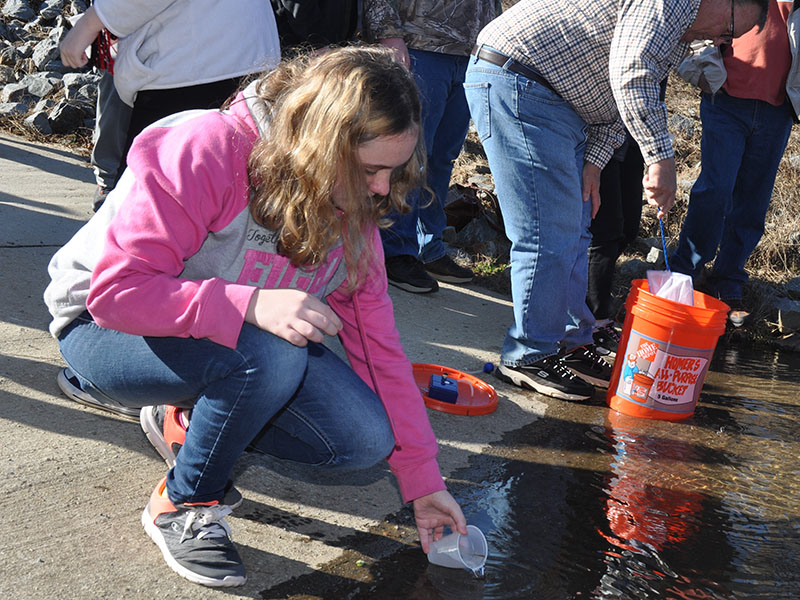 Students from Fannin County Middle School take turns placing baby trout into their new watery home. Shown is Marissa Holbert sending her trout off into the river.