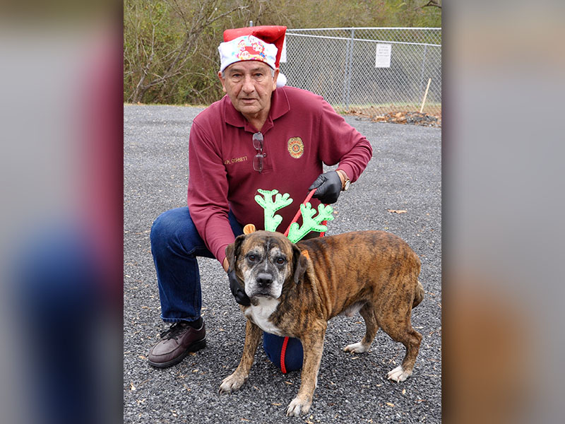 Fannin County Animal Control Officer J.R. Cornett kneels with this male Boxer mix who volunteers have named Mississippi. He was picked up on Dillon Ridge Road in Morganton, December 4, and will be staying at Animal Control until reclaimed or adopted. Mississippi has a brindle coat. View this sweet guy under Animal Control number 359-19.