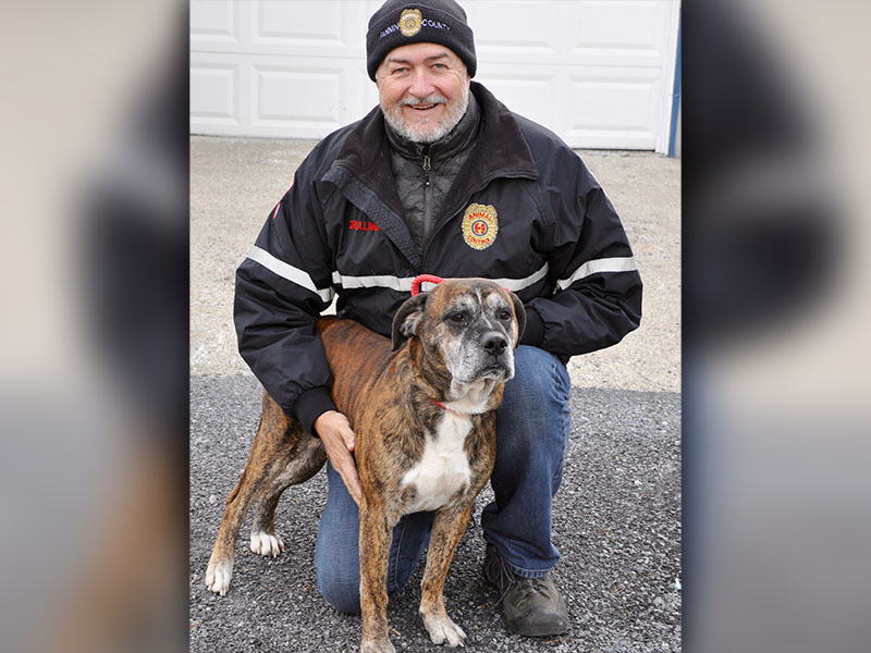 Animal Control Manager John Drullinger kneels while this male Boxer mix, who volunteers have named Mississippi, stands tall. Mississippi was dropped off December 4 and will be at Animal Control until reclaimed or adopted. This good boy sports a brindle coat of brown, black and white. View him under Animal Control number 359-19.
