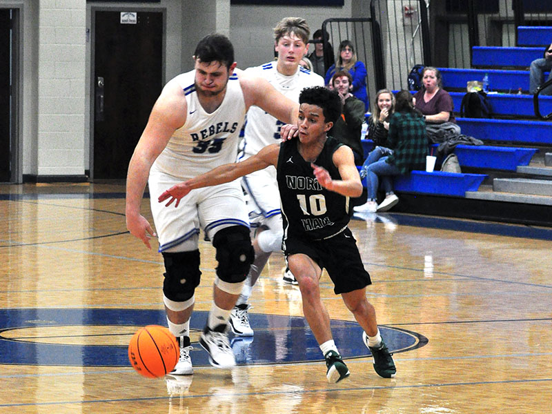 Fannin Rebel Miles Johnson steals the ball during the Rebels game with North Hall Tuesday, January 14.