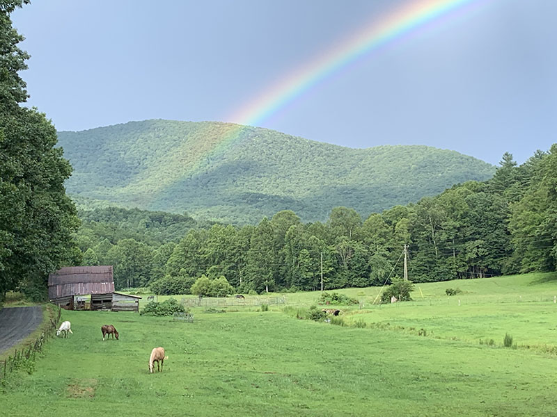 Part-time resident Paul Cuchinella shot this picturesque pastoral scene complete with horses, an old barn and a rainbow.