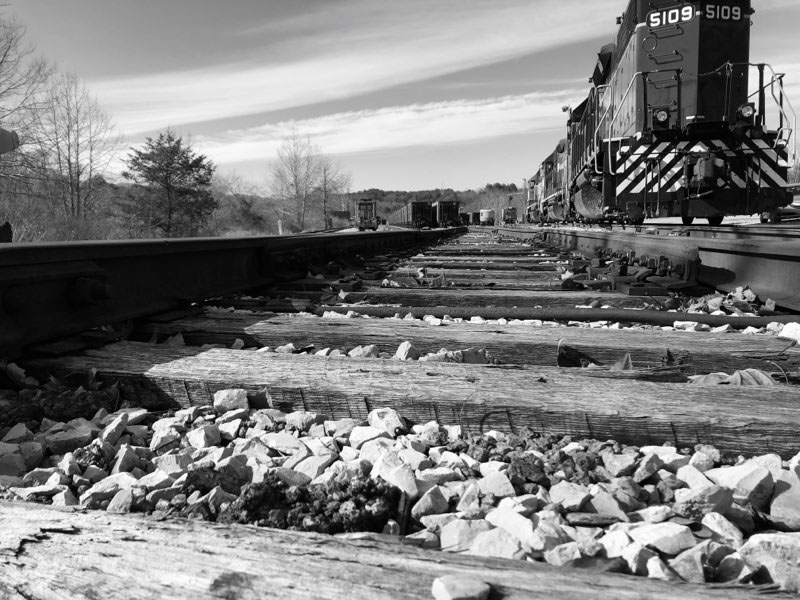 Danica Padrutt, sixth grader at Fannin County Middle School, took this photo of the railroad tracks and train this past January.