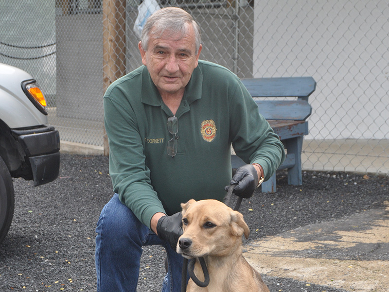 Fannin County Animal Control Officer J.R. Cornett shows off this female lab mix. She was taken in April 6, in the area of Eagle Top Drive off of Squirrel Hunting Road. She is staying at Animal Control until she is adopted. Her coat is a beautiful tan color with striking eyes. View this beautiful dog under Animal Control number 123-20.