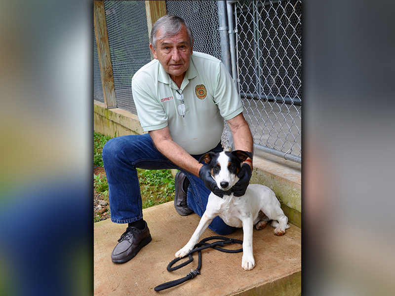This male mix was found on Salem Road in Mineral Bluff June 24. He will be staying at Animal Control until reclaimed or adopted. He has a soft white coat with spots of black and brown. View this feller using intake number 176-20. He is shown with Animal Control Officer J.R. Cornett.