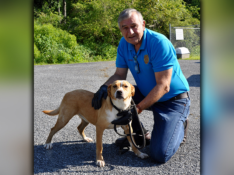 This female mix was found on Murphy Lane in Mineral Bluff July 13 and will stay at Animal Control until reclaimed or adopted. She has a soft blonde and white coat, and she is very well behaved. View her using Animal Control number 200-20. She is shown with Animal Control officer J.R. Cornett.