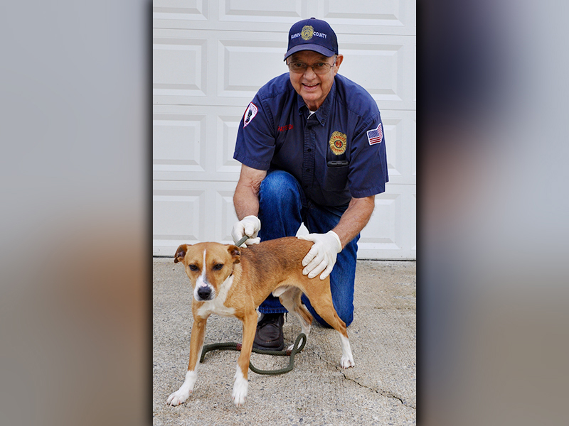 This male Feist mix was found on Mount Liberty Road in McCaysville Thursday, July 30. He will be staying at Animal Control until reclaimed or adopted. This feller has a short, orange coat with spots of white. View him using intake number 215-20. He is shown with Animal Control Officer Pat Patterson.