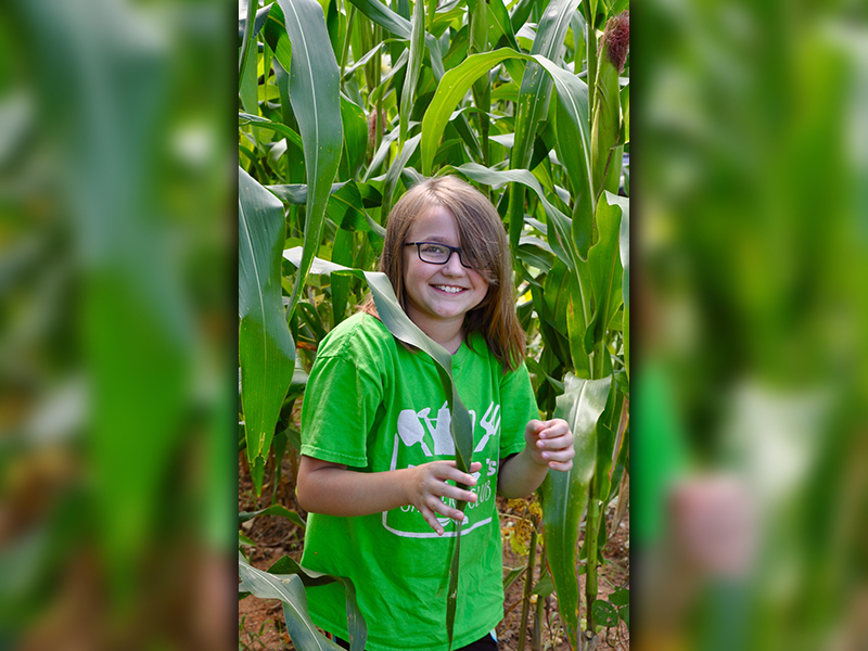 Jalyn Hunt makes her way through corn and green beans she helped harvest at Copper Basin Elementary School.