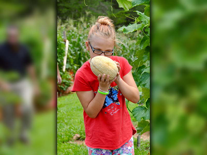 Madison Hester sniffs a cantaloupe making sure it was “fruity” enough for pickin’.