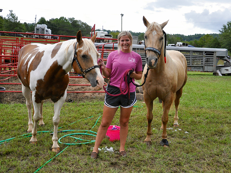 The 25th annual Kiwanis Club of Blue Ridge and Mountain Valley Motors Rodeo called for the largest amount of performers ever. Emily Heddrick is shown grooming horses before Friday nights rodeo, August 21.