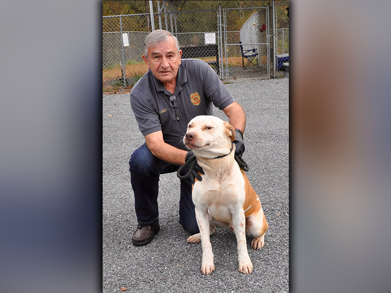 This male Bull mix was dropped off at Animal Control October 16. He is on the larger side and has a short, white coat with orange spots. View him using intake number 295-20. He is shown with Animal Control officer J.R. Cornett.