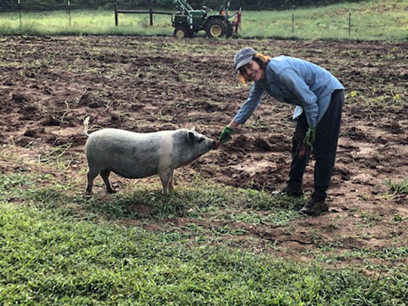Feed Fannin Farm and Garden Manager Kathy Beck pets Miss Bacon, a neighbor’s pet pig, when she paid a visit to the garden one day this summer.