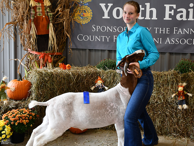 Abby McFarland won first prize at the Fannin County Youth Fair Saturday, September 28.