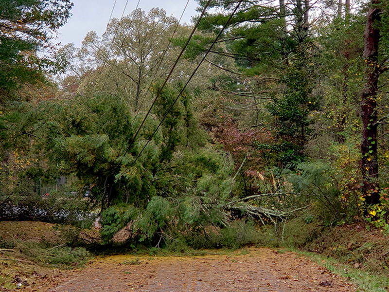 Tropical Storm Zeta brought heavy damage to Fannin County and surrounding areas, making travel difficult. This is a scene taken on Goss Road in Epworth Thursday, October 29.