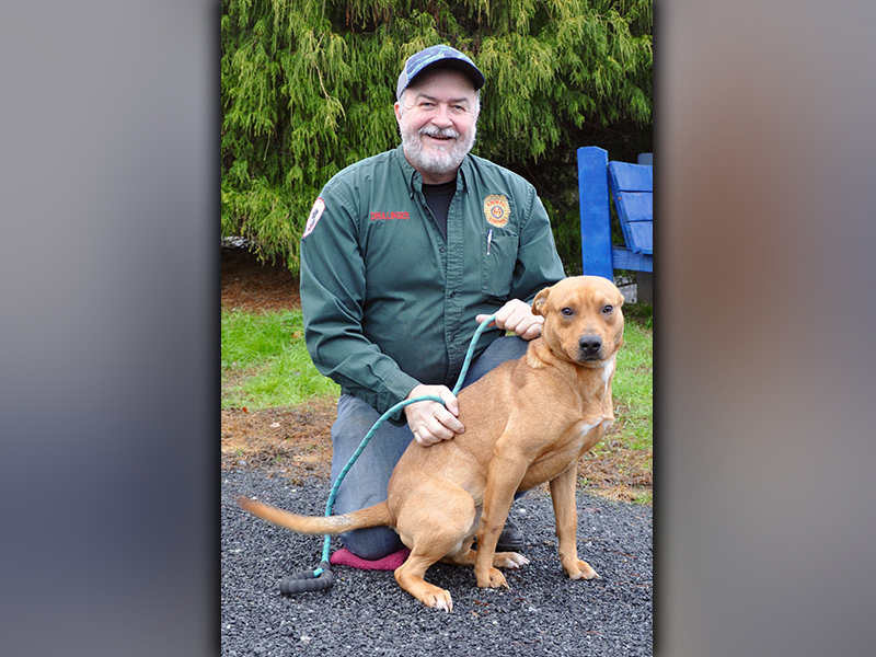 This male mix was picked up on Millsaps Circle in Epworth December 7. He has a short, red coat and is a sweetie. View him using intake number 353-20. This boy is ready for his forever home. He is shown with Animal Control Manager John Drullinger.