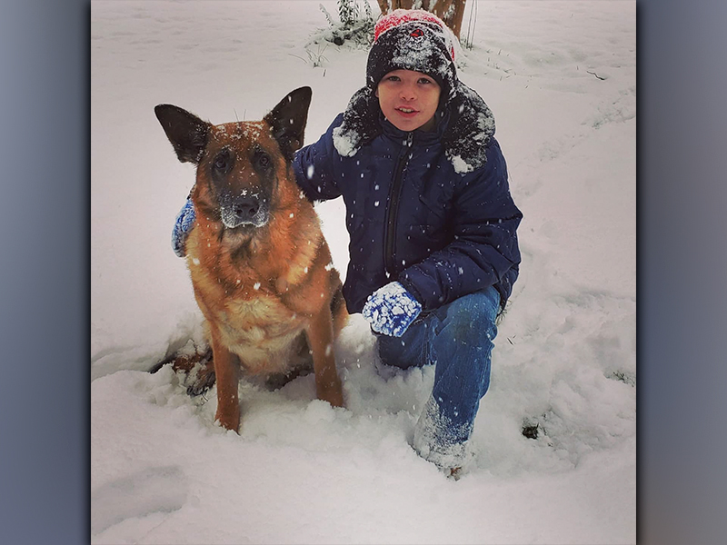 Clay Maddox and his dog, Jake, playing in the snow. Jake died June 7 after being shot by a family neighbor.