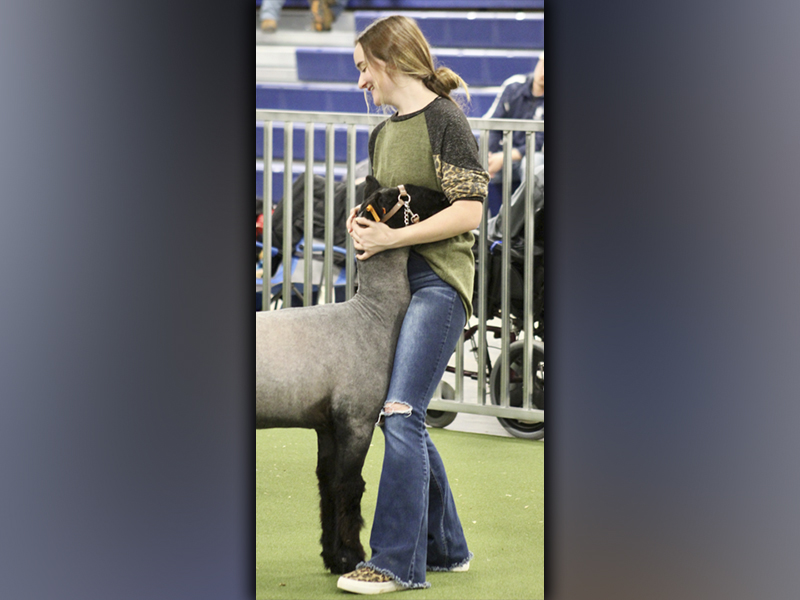 Fannin County High School FFA member Kaleighann Ware gave her ewe a smile during the Fannin County Young Farmers Association Breeding Ewe and Doe Holiday Classic Saturday, December 4.