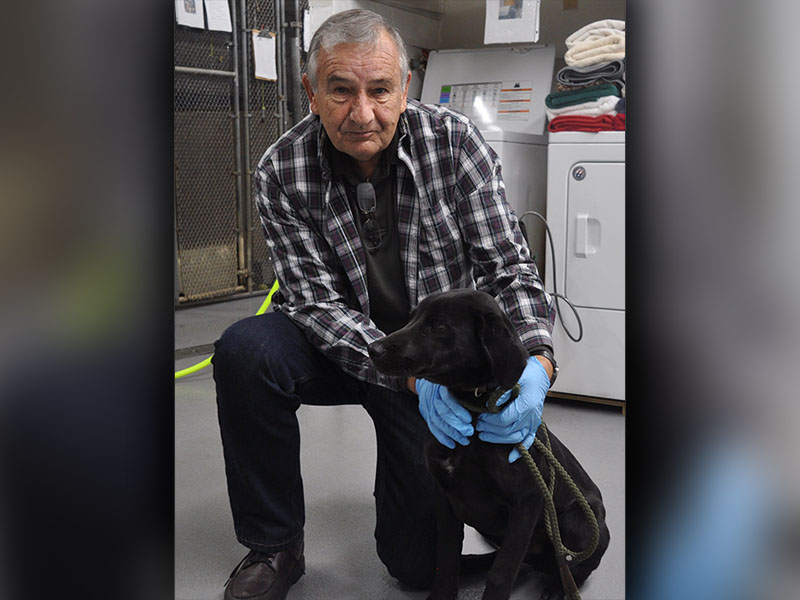 This male Lab mix was picked up on Madola Road January 3. This boy is all black with a short coat. View this good boy using intake number 003-22. He is shown with Animal Control interim manager J.R. Cornett. 