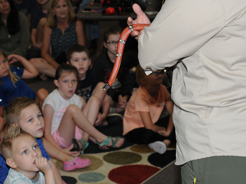 A King snake, which resembles a Coral snake, kept children focused as Kathy Church explained the differences.