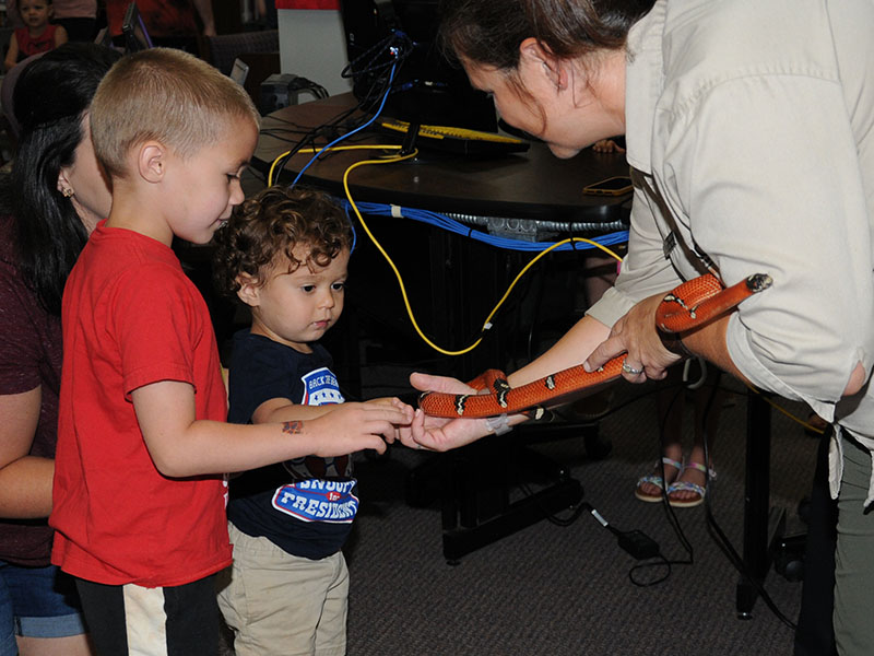 Everett, 6, and Wyatt, 4, took their turns petting Kathy Church’s King snake.