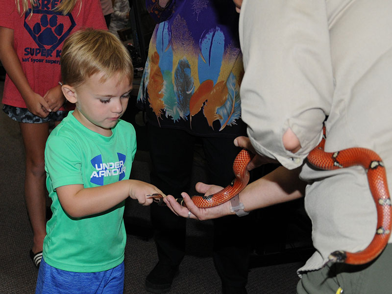 Children were fascinated as they touched a King snake.