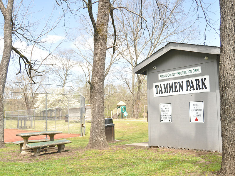 Pressure washing and cleanup at Tammen Park were some of the improvements made thanks to Tourism Product Development money. “These projects are providing great additions and enhancements for public use now and in the future,” Gribble said.