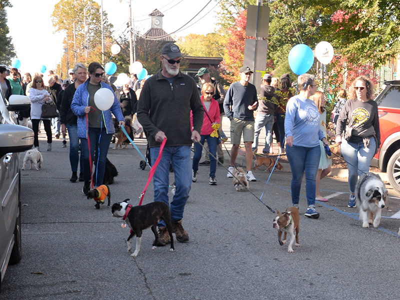 Dogs of all sizes and breeds paraded through downtown Blue Ridge Saturday morning to kick off Paws in the Park.