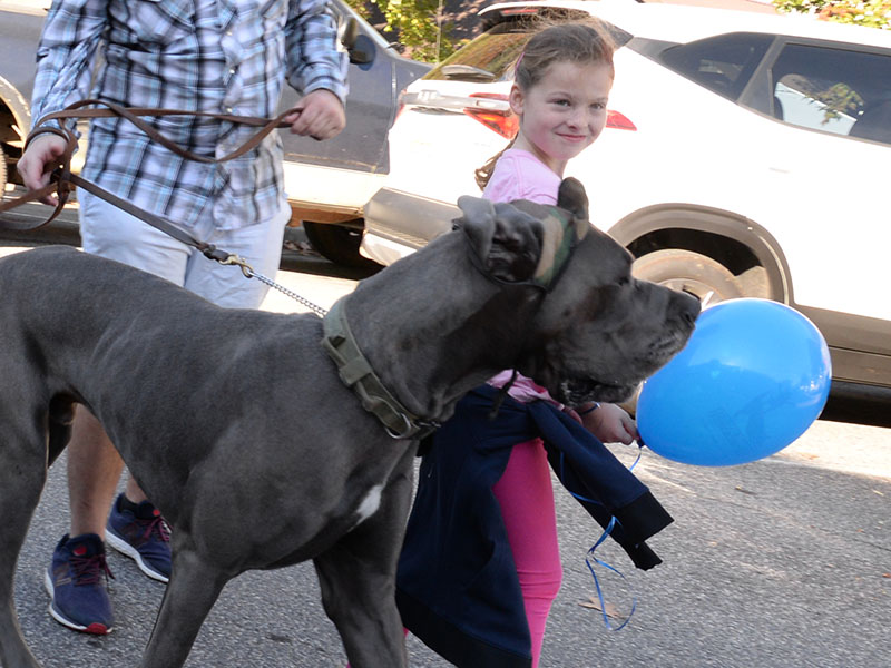 This young lady and her friend, who is almost taller than she is, enjoyed the Paws in the Park parade Saturday morning.