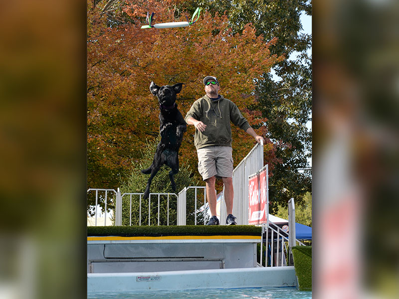 Dock Diving dogs were a big hit at Paws in the Park.