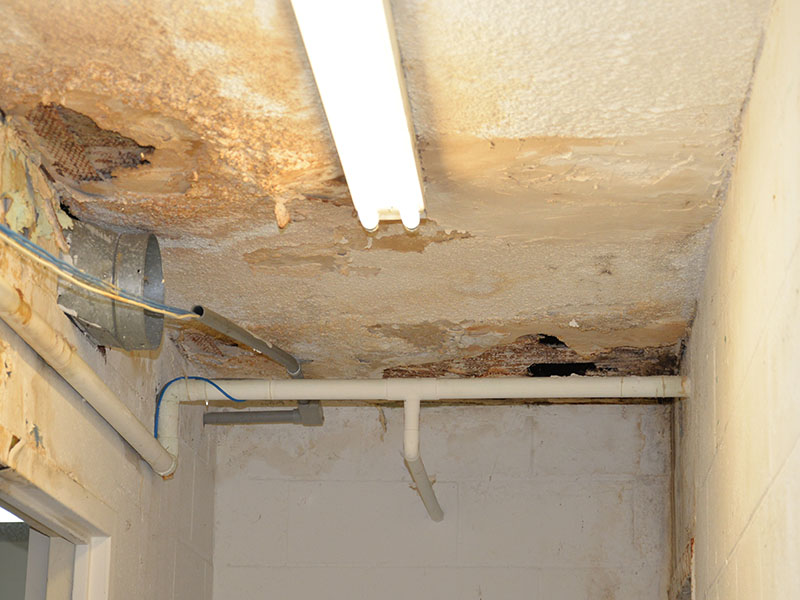 Water damage to the ceiling and walls is common throughout the old courthouse in Ducktown. Polk commissioners toured the building in October.