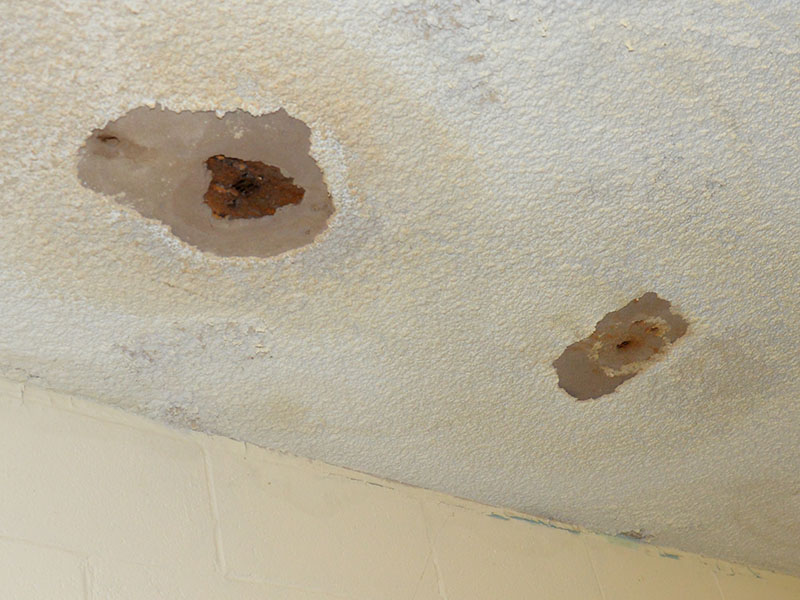 Damage such as this, fallen ceiling tiles, holes in the ceiling and black mold, are common throughout the old Polk County Courthouse in Ducktown. The building was closed last week by county commissioners.