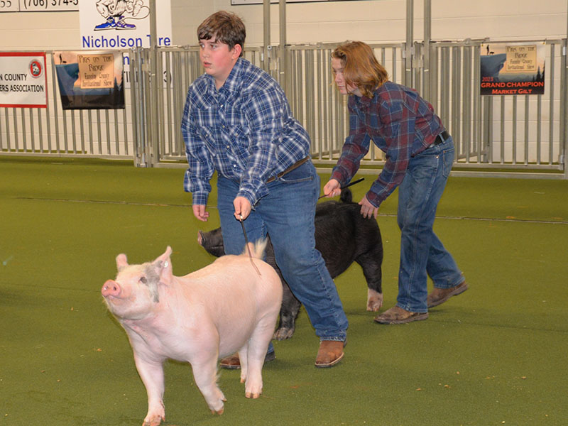 Jason Allen, left, and Trenton Flowers are shown during the Showmanship competition at Pigs on the Ridge.